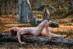 Z6P_0842