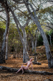 Z6P_0853
