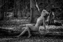 Z6P_0859-2