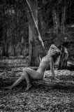 Z6P_0861